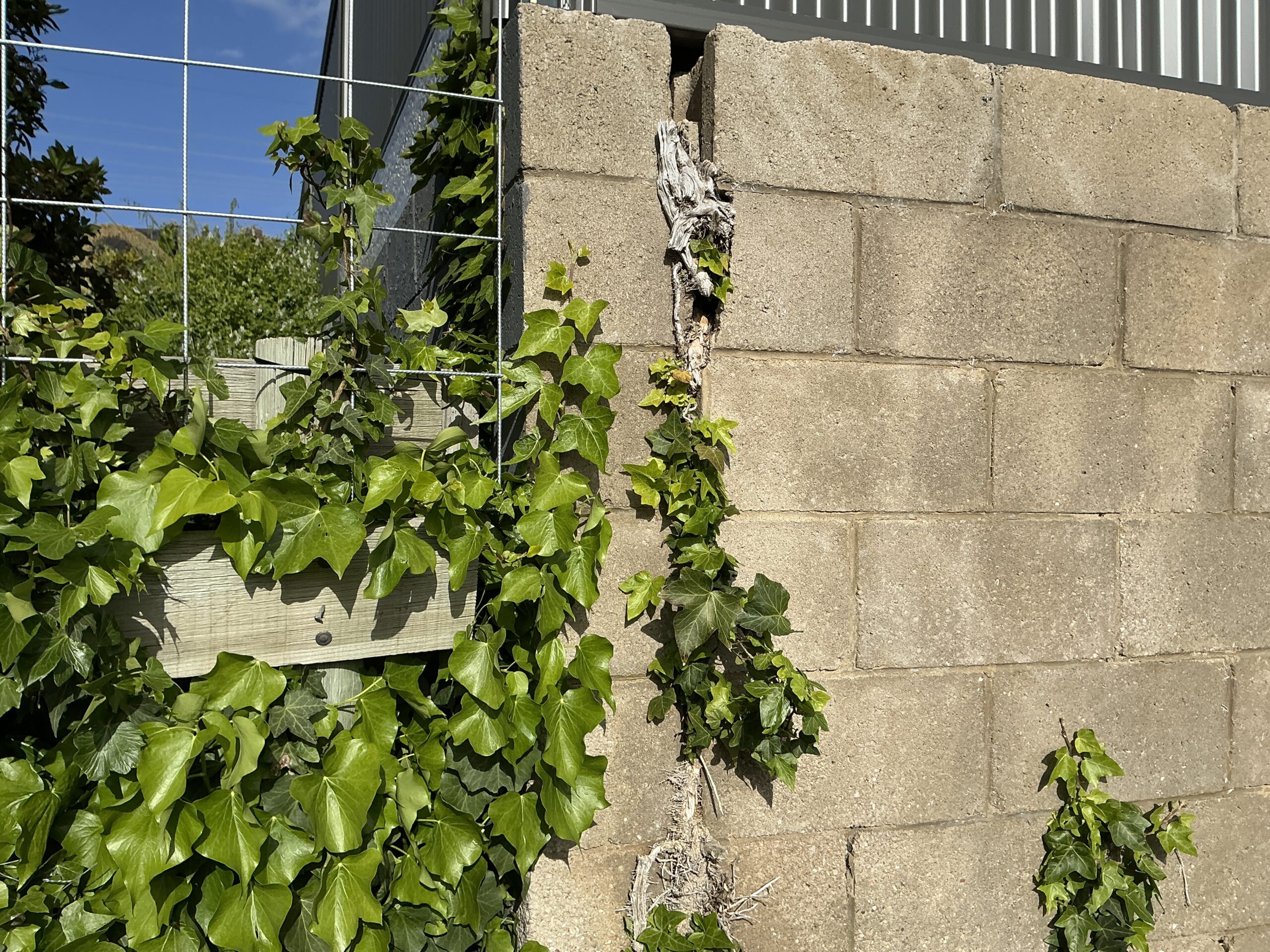 OB Engineering Forensic Report of a Retaining Wall