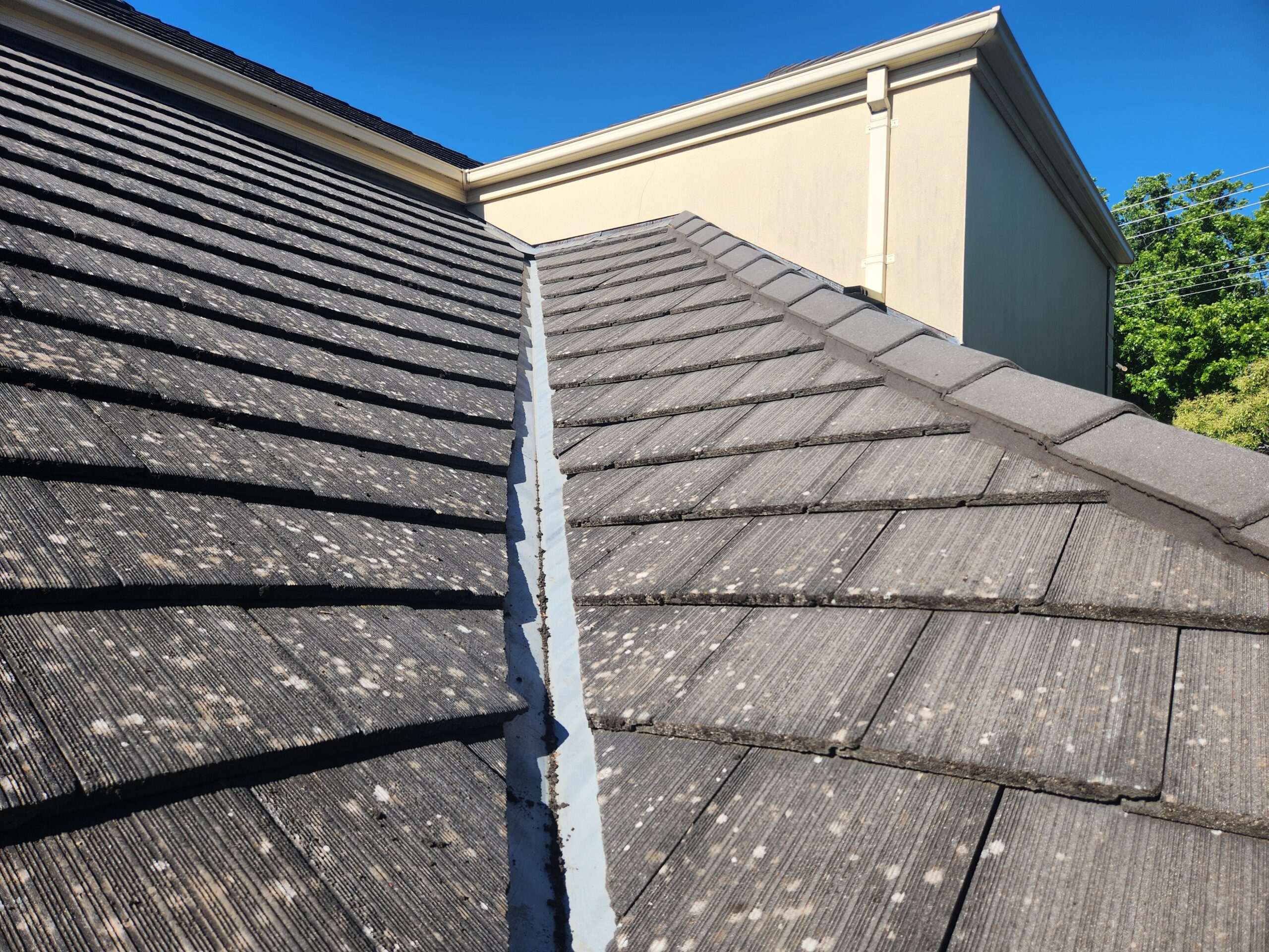 OB Engineering Forensic Structural Assessment