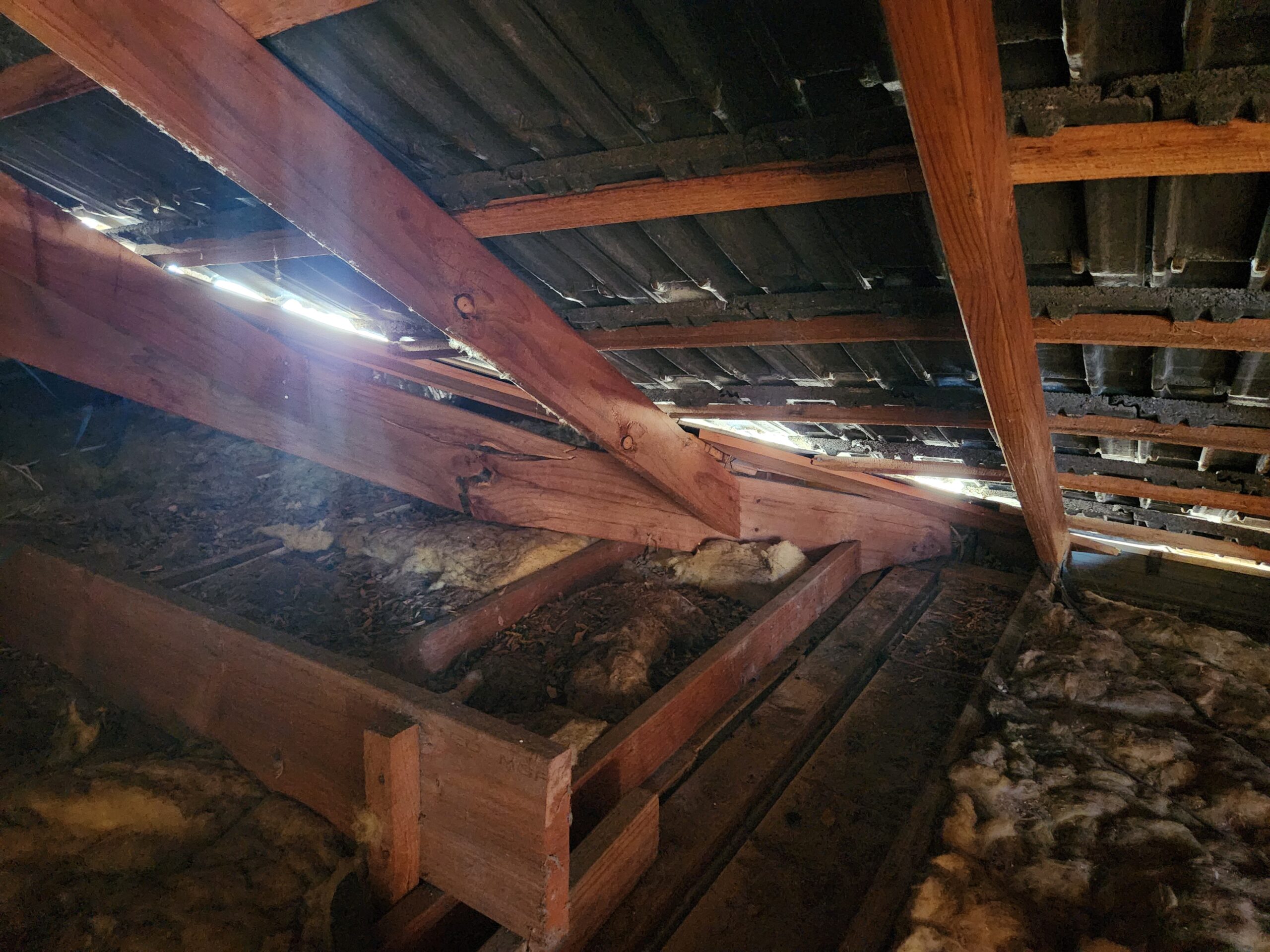 OB Engineering Forensic Structural Assessment